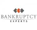 Bankruptcy Experts