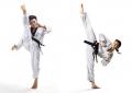 Saroughi International Taekwon-do Inc
