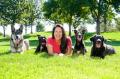 Grace Dog Training & Behavior