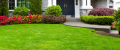 Best Boca Raton Landscaping