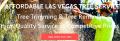 Las Vegas Tree Crew