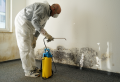 Long Island Fire Mold Water Damage Services