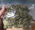 MARIJUANA OF VERY GREAT QUALITY