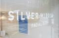 Silver Mirror Facial Bar