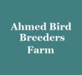 Ahmed Bird Breeders Farm