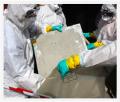 All Care Asbestos Removal