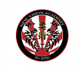 New Vision Academy of Jiu Jitsu