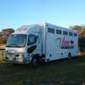 Vixen Equine Transport