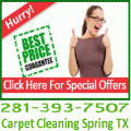 TX Spring Carpet Cleaning