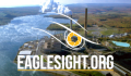 Eagle Sight Drone Services