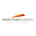 More Than Numbers Accounting