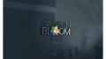 Searchbloom