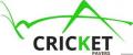 Cricket Pavers of Boca Raton