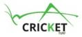 Cricket Turf