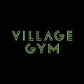 Village Gym St David's Park