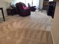 Carpet Cleaning Burbank