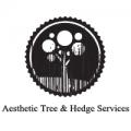 Aesthetic Tree & Hedge Service