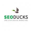 SEO Ducks