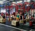 CrossfitOptIMize Downtown