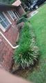 LANDSCAPING YARD WORK CLEAN TRIM SOUTHLAKE COLLEYVILLE KELLER TX