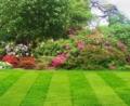 Schwartz Brothers Landscape Solutions