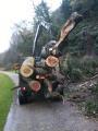 West Vancouver Tree Service Contracting
