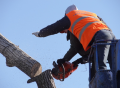 West Vancouver Tree Service Contracting