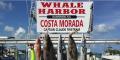 Costa Morada Fishing Charters