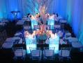 CERF - Creative Event Rentals and Furnishings