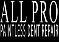 All Pro Paintless Dent Repair