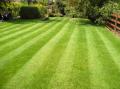 Landscape & Lawn Care San Diego