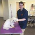 Dog Grooming School of Pennsylvania