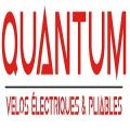 Quantum eBikes