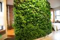 Best Living Walls