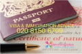 GSN IMMIGRATION