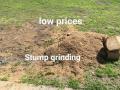 Low-cost stump grinding inc.