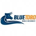 Blue Toro Mobile Mechanics North Wollongong
