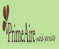 Prime Aire Mold Services