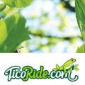 TicoRide