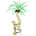 Spine and Orthopedic Specialists of South Florida