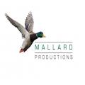 TV film and video production company in Glasgow, Scotland