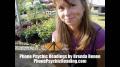 Tarot Psychic Readings by Mystical Empress