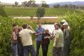 Blue Sky Texas Wine Tours