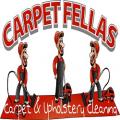 carpetfellas