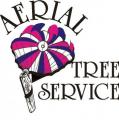 Aerial Tree Service