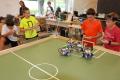 STEM EDUCATION CAMP: ROBOTICS (RE&GP)