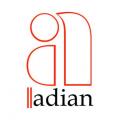 Adian Professional Corporation, CPA, CA