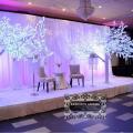 Exquisite Affairs Wedding & Event 