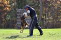 John Soares K9 Training, LLC
