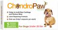 Chondropaw LLC